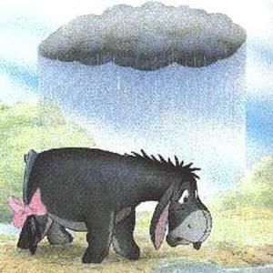 Meet your Posher, Janet